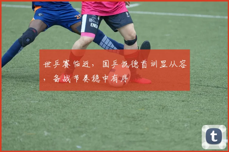 世乒赛临近,国乒抵德首训显从容,备战节奏稳中有序