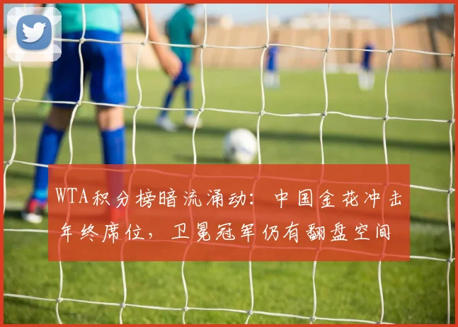 WTA积分榜暗流涌动:中国金花冲击年终席位,卫冕冠军仍有翻盘空间