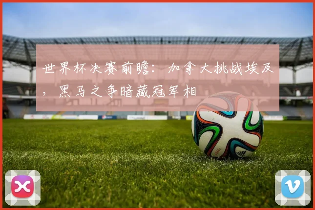 世界杯决赛前瞻：加拿大挑战埃及，黑马之争暗藏冠军相