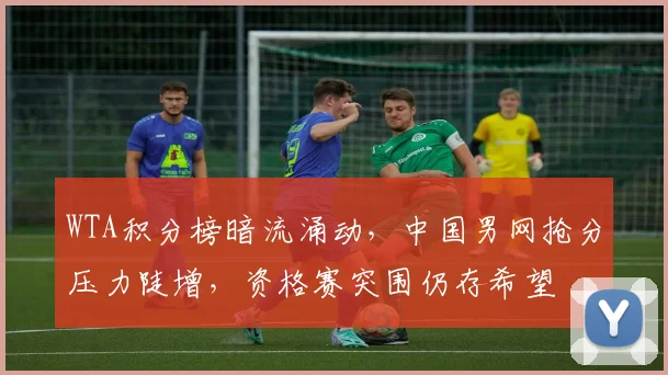 WTA积分榜暗流涌动,中国男网抢分压力陡增,资格赛突围仍存希望